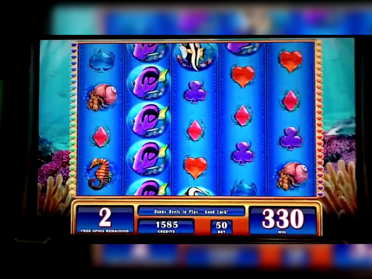 310% Best signup bonus casino at Seven Cherries Casino