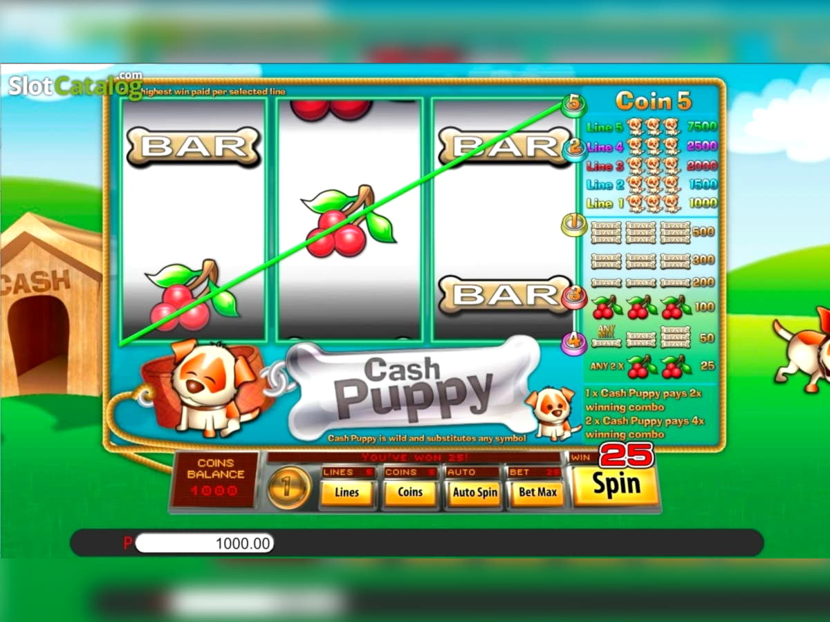 $999 Daily freeroll slot tournament at Bet Rebels Casino