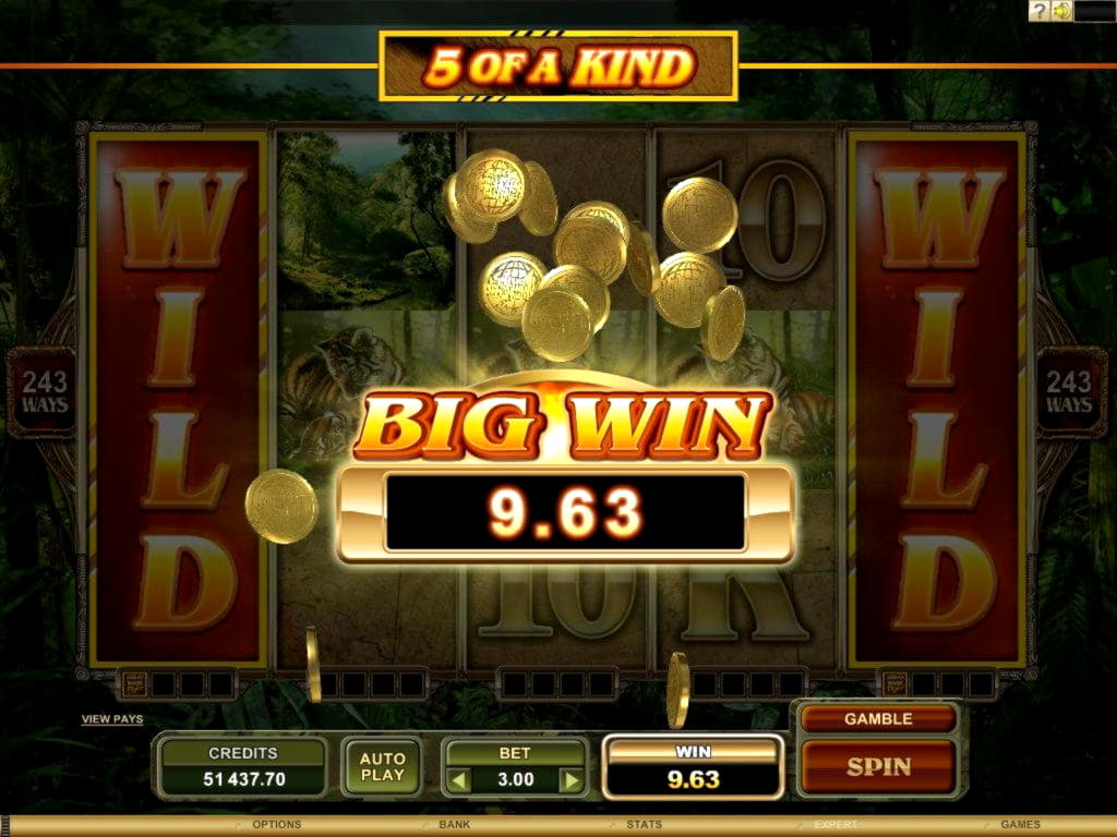 $4355 NO DEPOSIT BONUS CODE at Royal Dubai Casino