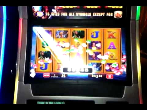 €77 Casino tournaments freeroll at Spin Palace Casino