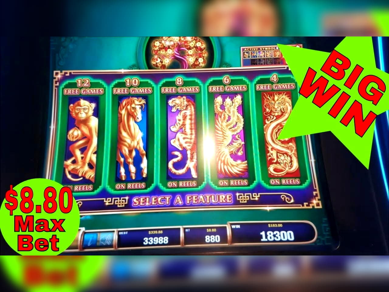 275 free spins no deposit at bWin Casino