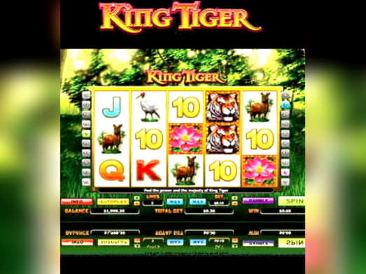 660% Deposit Match Bonus at Royal Dubai Casino