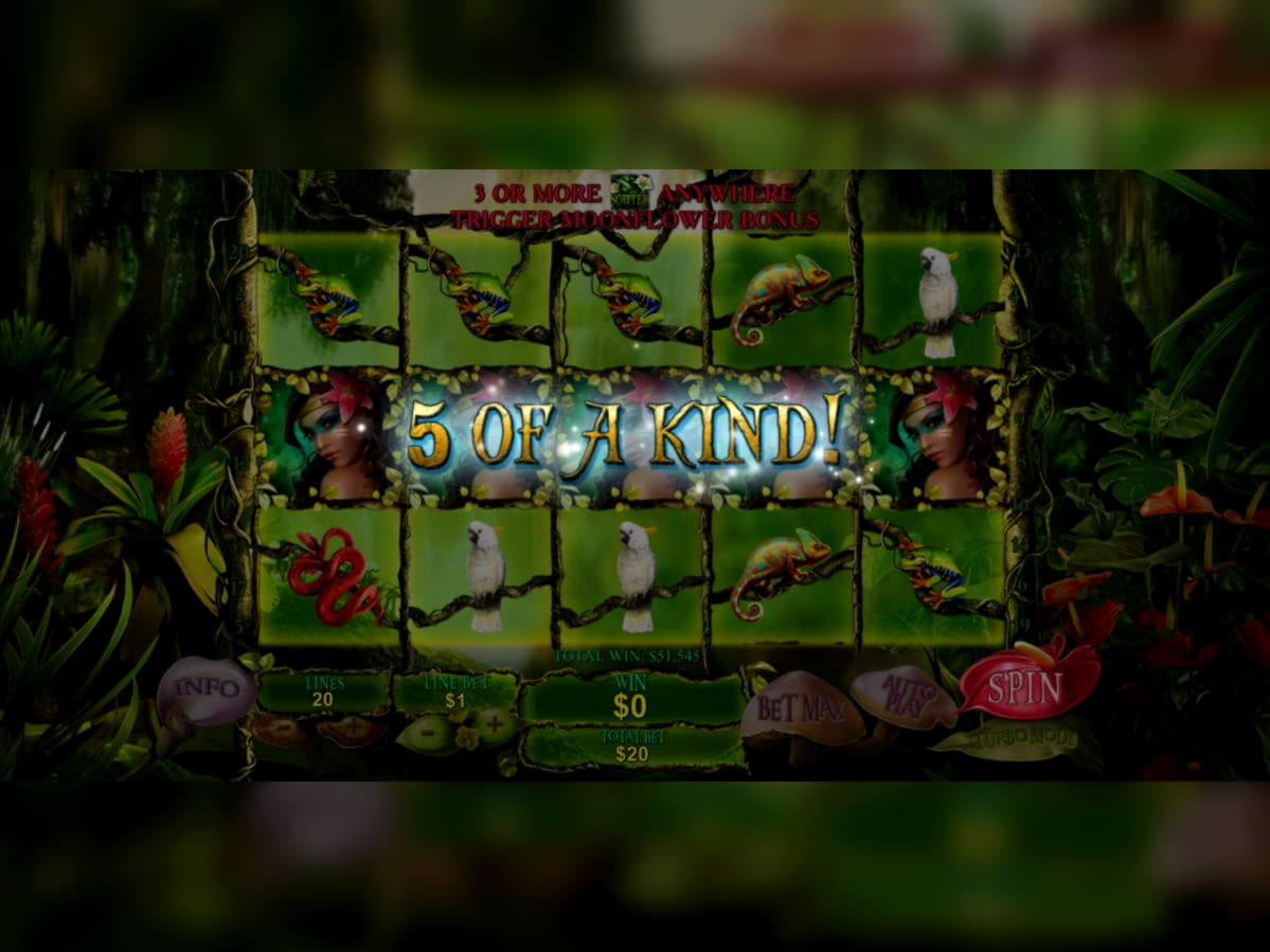 325% No Rules Bonus! at River Belle Casino