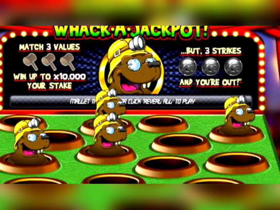 €3610 No Deposit Bonus Code at Platinum Play Casino