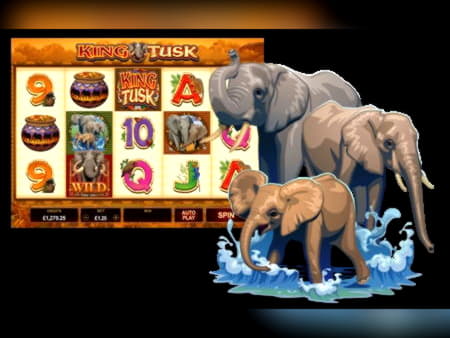 £860 Daily freeroll slot tournament at Joy Casino