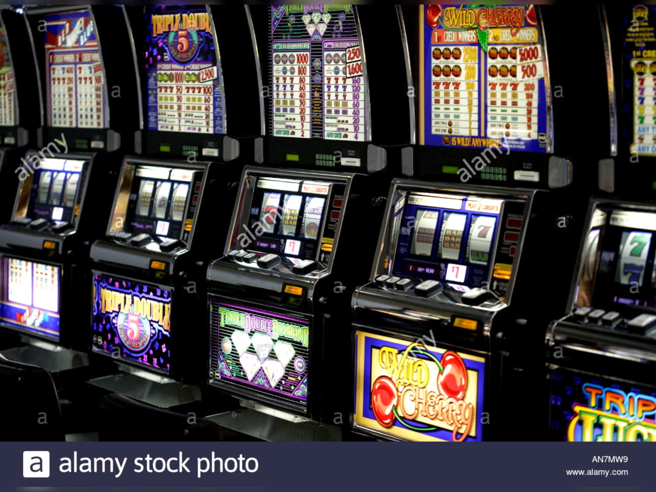 205 Loyalty Free Spins! at Gamebookers Casino