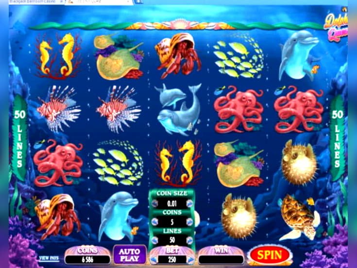 Eur 4945 NO DEPOSIT BONUS at Joy Casino