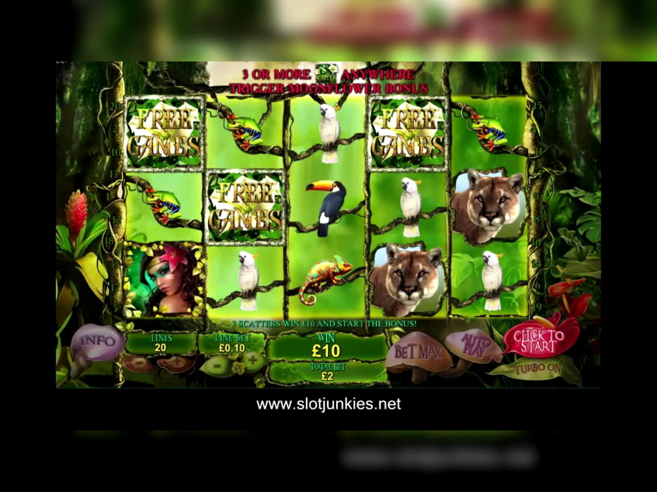 375% Deposit Match Bonus at Omni Casino