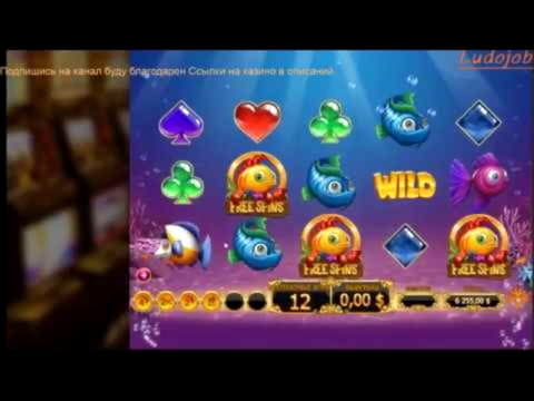 EURO 475 Casino tournaments freeroll at Karamba Casino