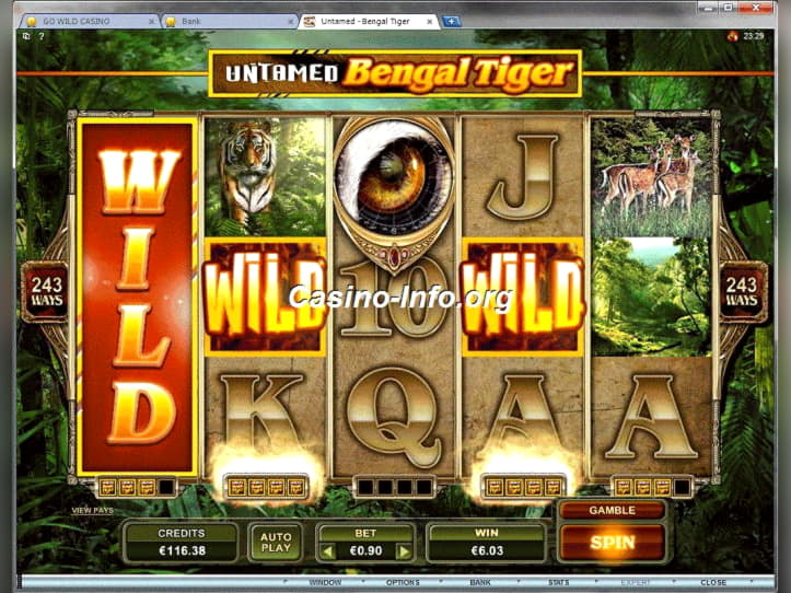 40 FREE Spins at Casino com