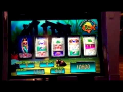 Eur 2770 NO DEPOSIT BONUS CODE at Gamebookers Casino