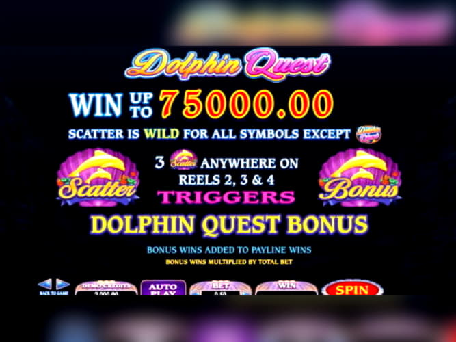 145 FREE SPINS at River Belle Casino