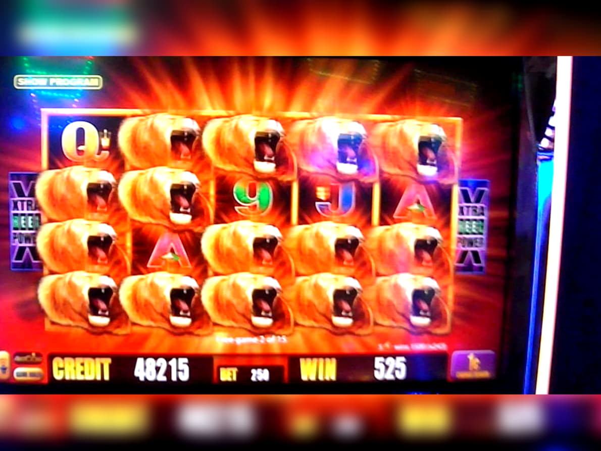 540% First Deposit Bonus at River Belle Casino