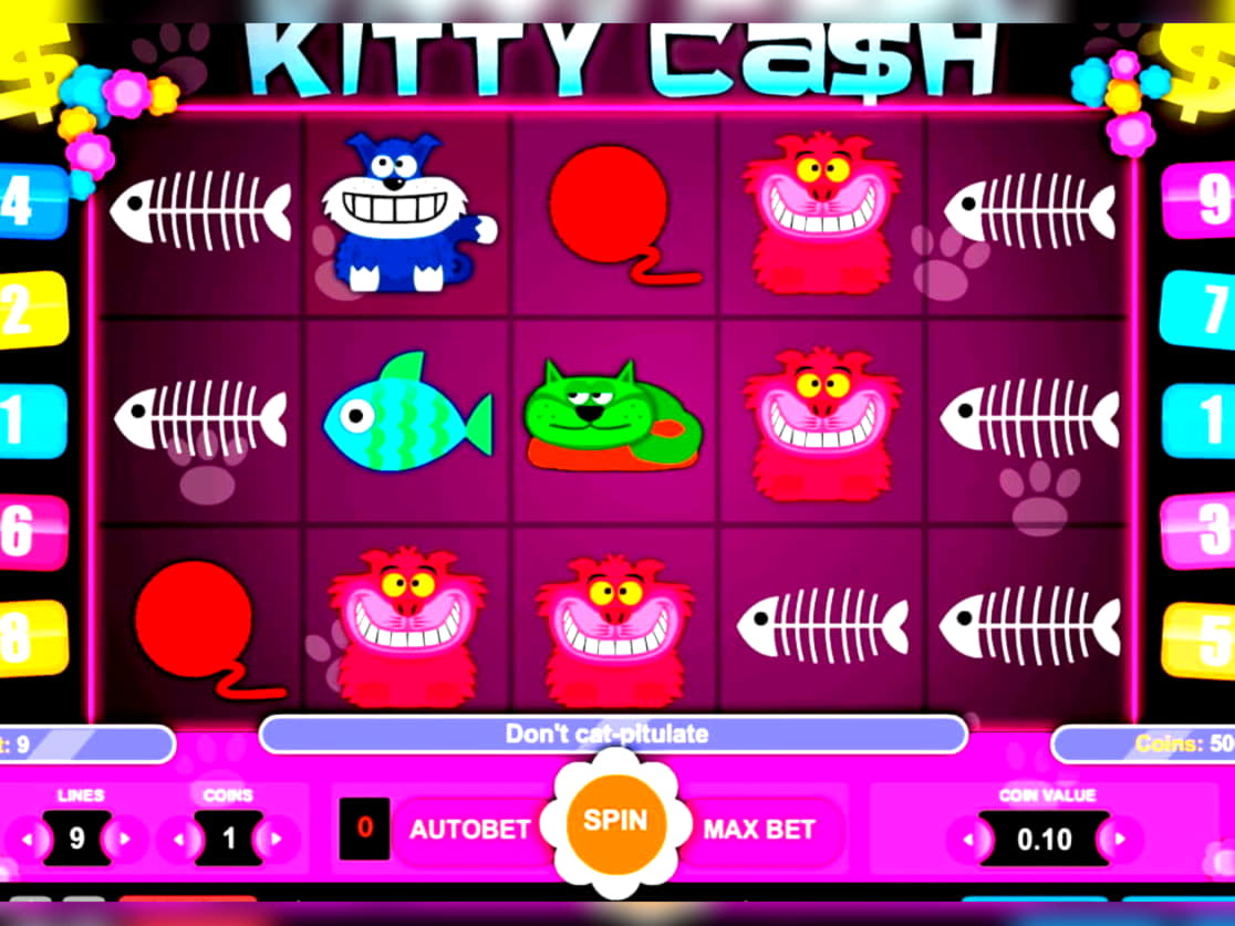120% No Rules Bonus! at Cheeky Riches Casino