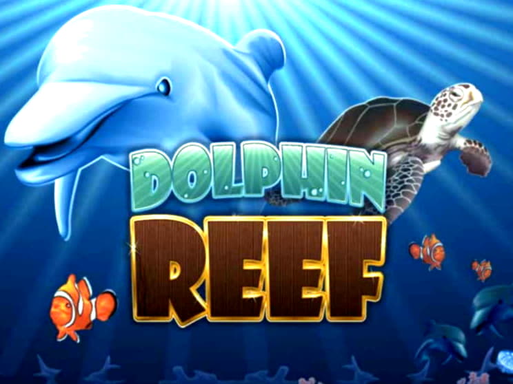 EURO 230 Daily freeroll slot tournament at Platinum Play Casino