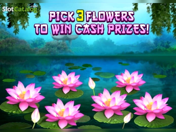 875% Welcome Bonus at Spin Palace Casino