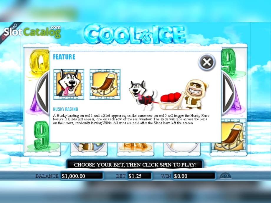 145 FREE Spins at Inter Casino