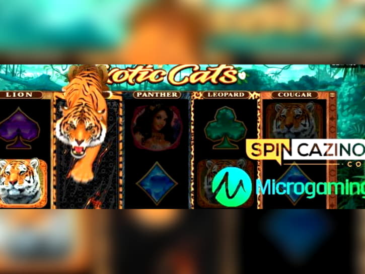 190 Free Spins right now at William Hill Casino