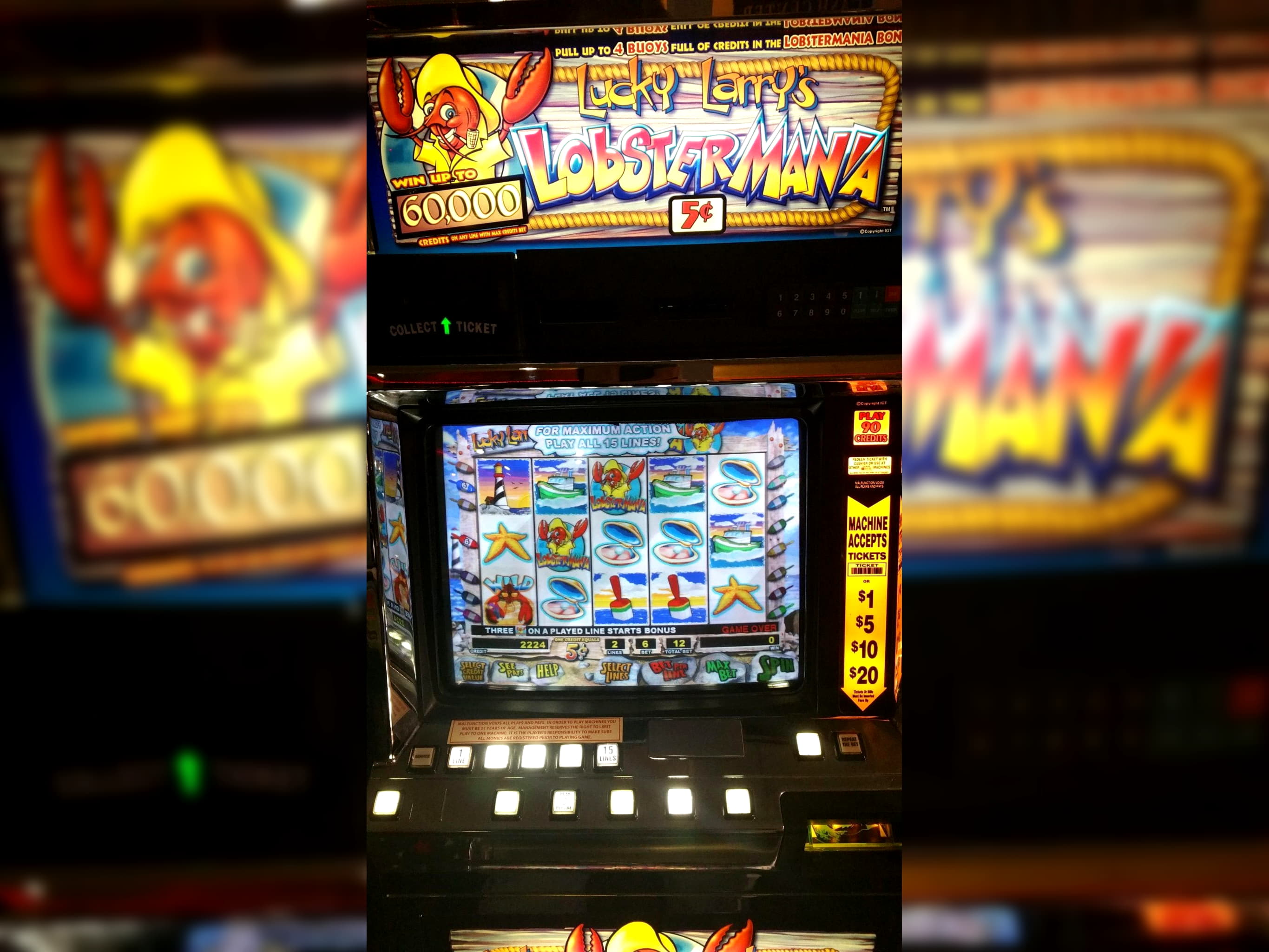 255 Loyalty Free Spins! at Spin Palace Casino