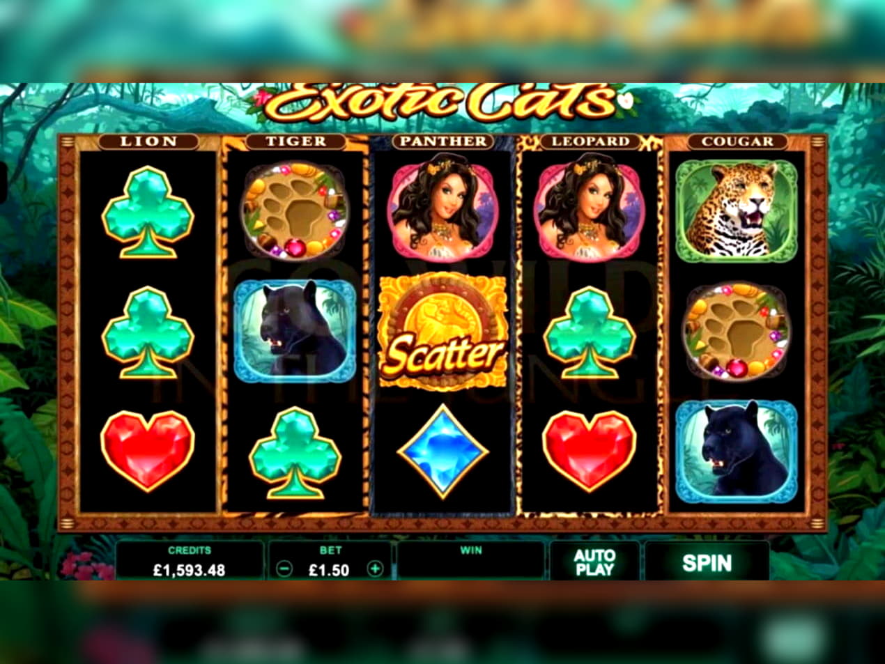 555% Match bonus casino at William Hill Casino