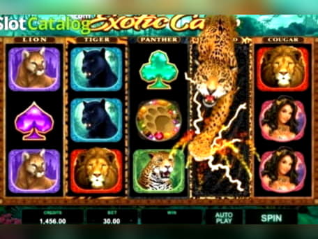 40 FREE Spins at Club Gold Casino