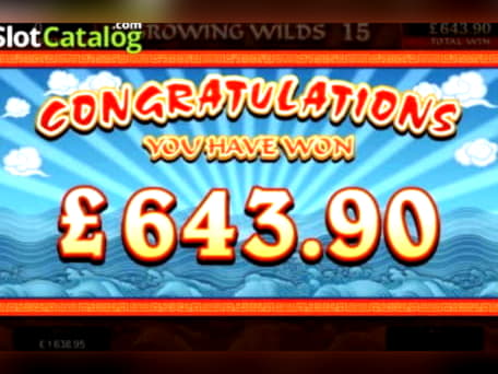 EURO 570 Casino Tournament at Spintropolis Casino