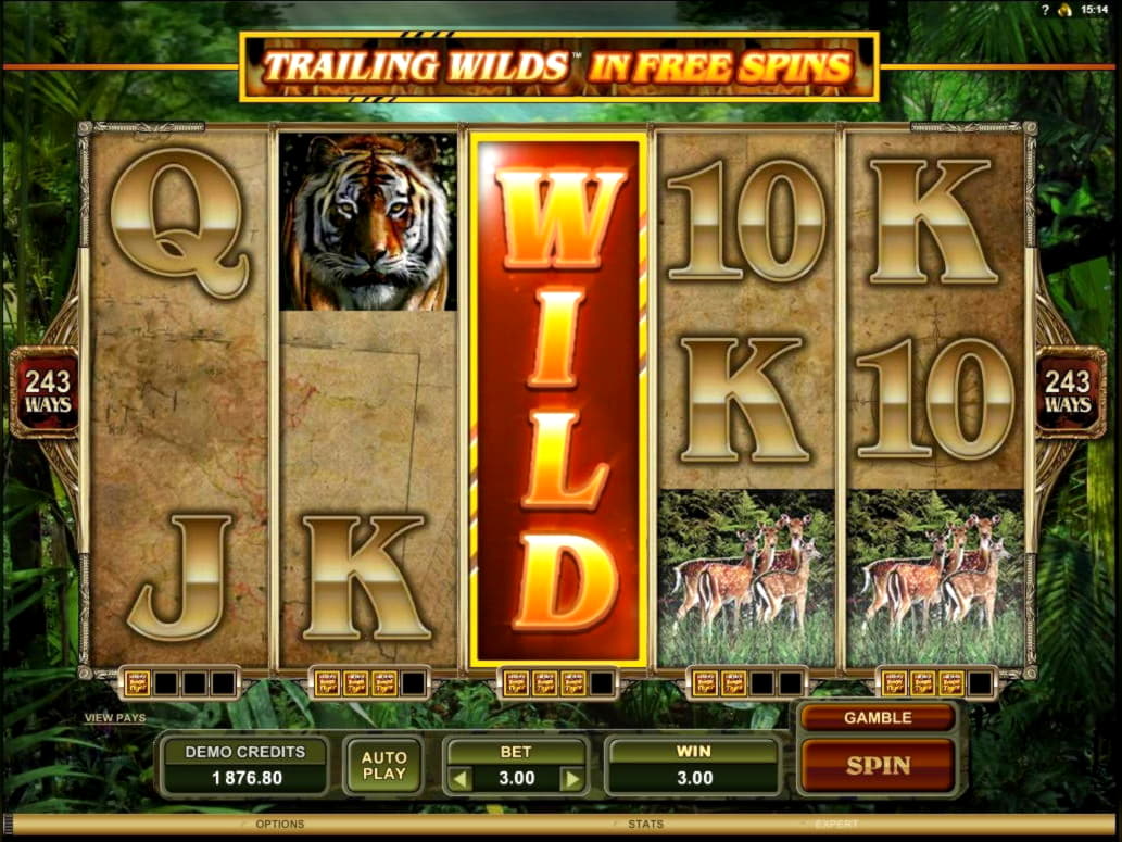 88 free spins at bWin Casino