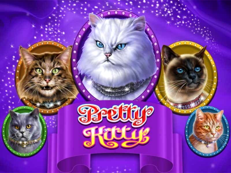 40% Match Bonus Casino at River Belle Casino