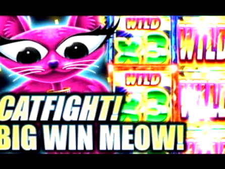 205 free spins no deposit casino at Casino Action