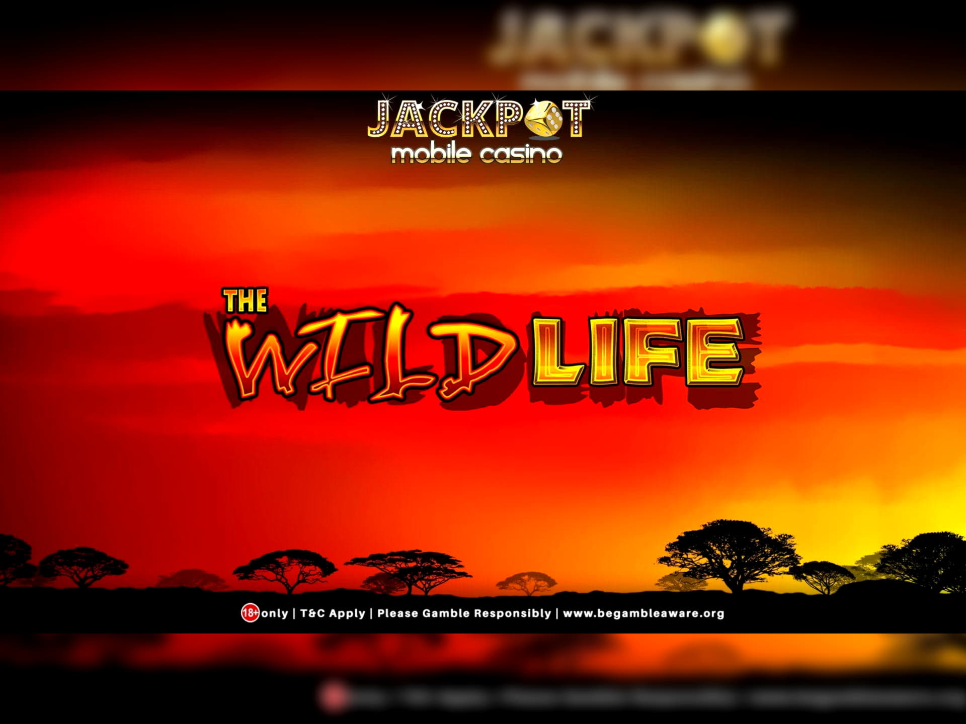 80 Free casino spins at River Belle Casino