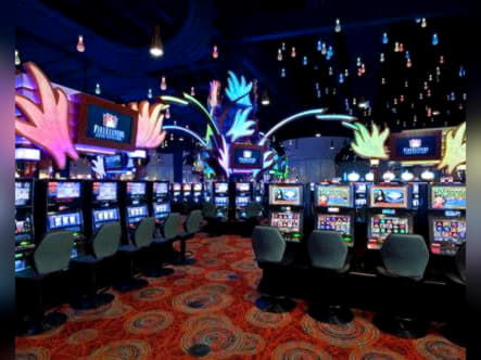 225 free spins casino at Omni Casino