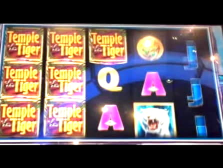 225% Signup Casino Bonus at Royal Dubai Casino