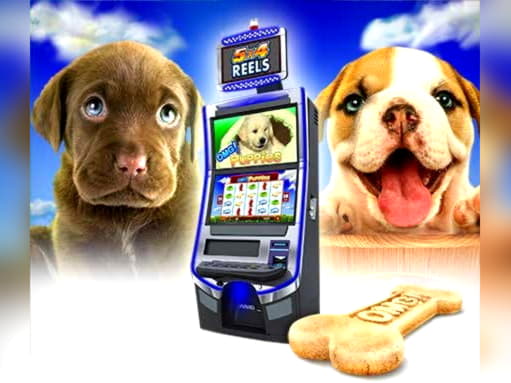 95 free spins casino at Cashpoint Casino