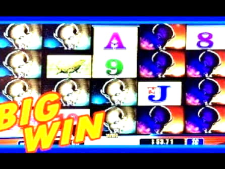 555% casino match bonus at Gamebookers Casino