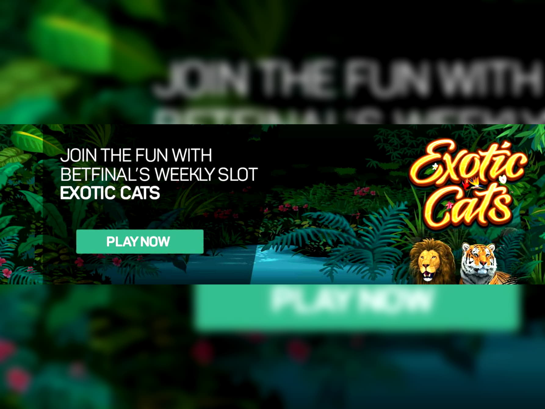 EURO 545 Casino Tournament at Bet Rebels Casino