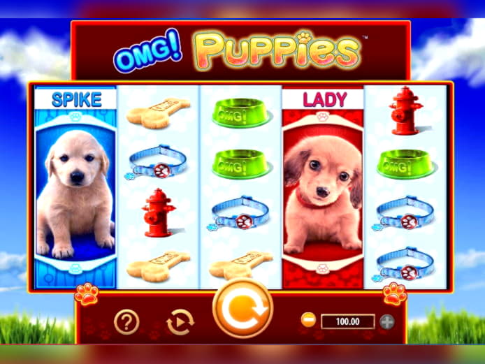 Eur 455 Free Casino Ticket at Cheeky Riches Casino