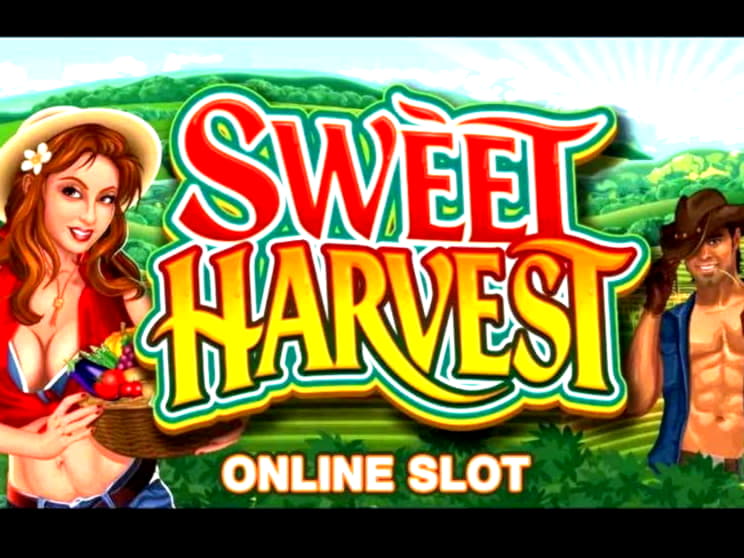 390% Match at a casino at Omni Casino
