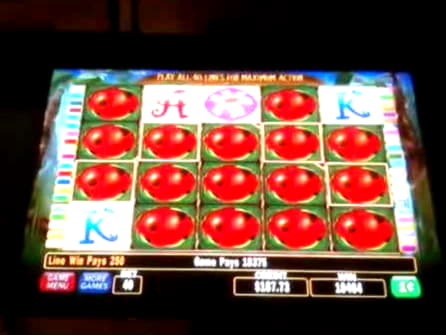 55 Free Spins at Casino com