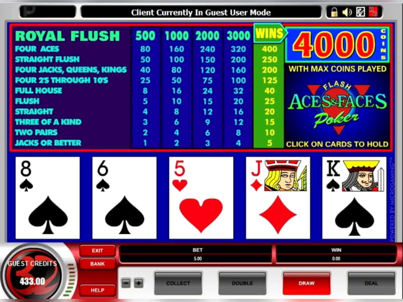 205 free spins no deposit at Euro Palace Casino