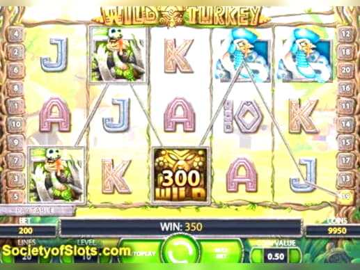 805% Match bonus casino at Cashpoint Casino