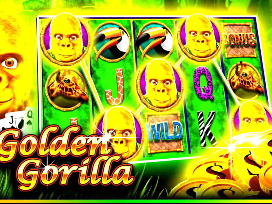 £4225 NO DEPOSIT BONUS CASINO at Nordi Casino