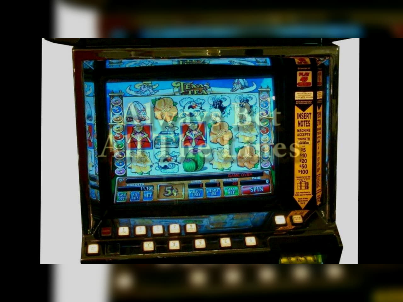 170 Free spins casino at Spin Palace Casino
