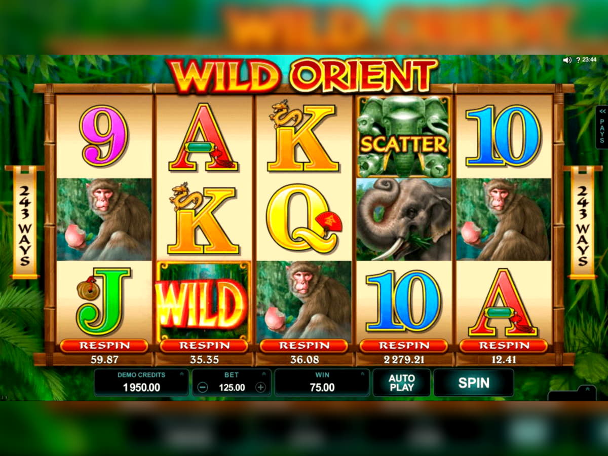 $4255 No Deposit at Cheeky Riches Casino