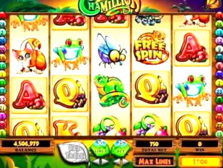 99 free spins no deposit casino at Royal Dubai Casino