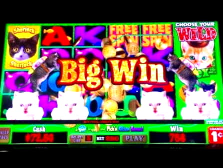 EURO 745 Mobile freeroll slot tournament at Betway Casino