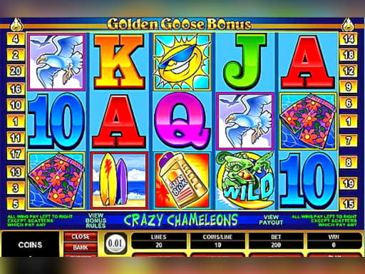Eur 820 Tournament at Casino Action