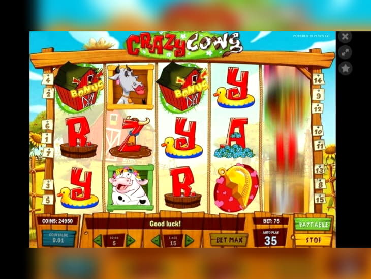 520% Best signup bonus casino at Gamebookers Casino