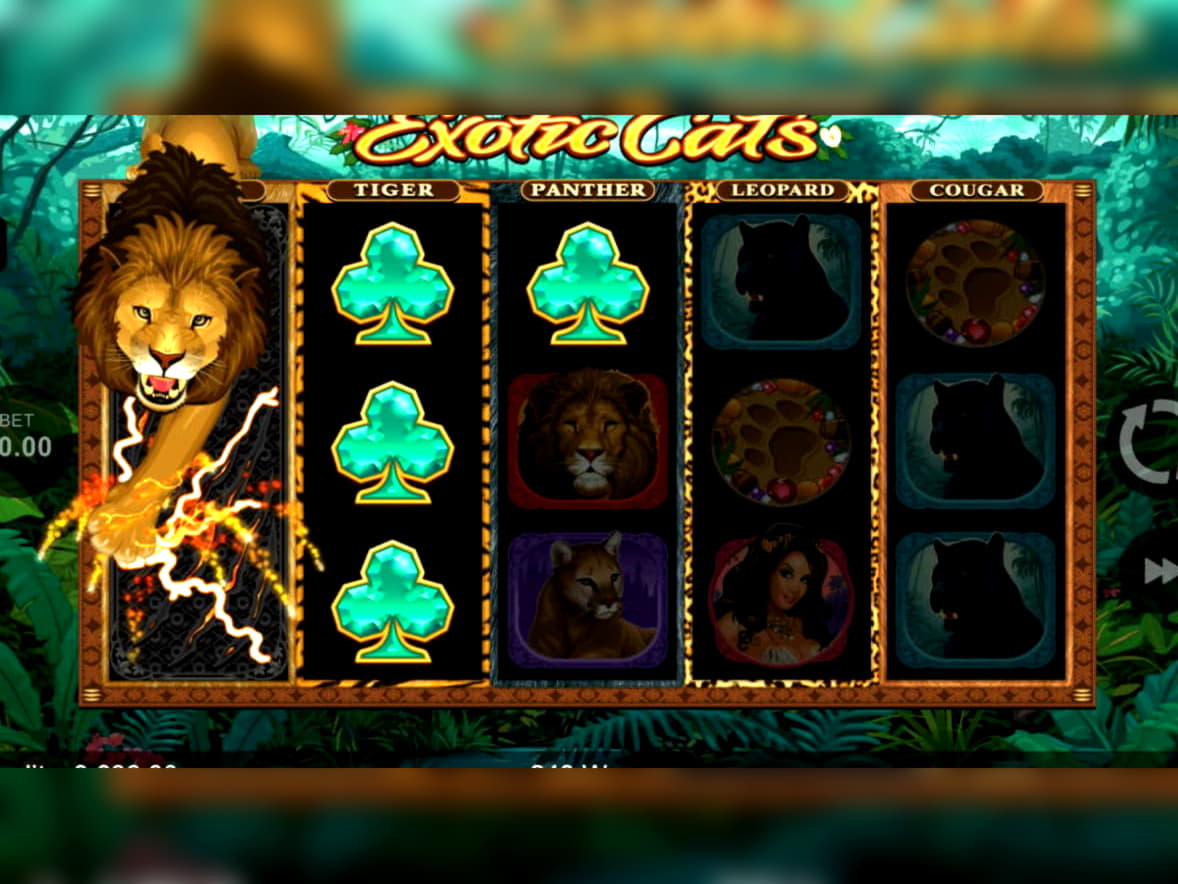 $255 Free Money at Nordi Casino