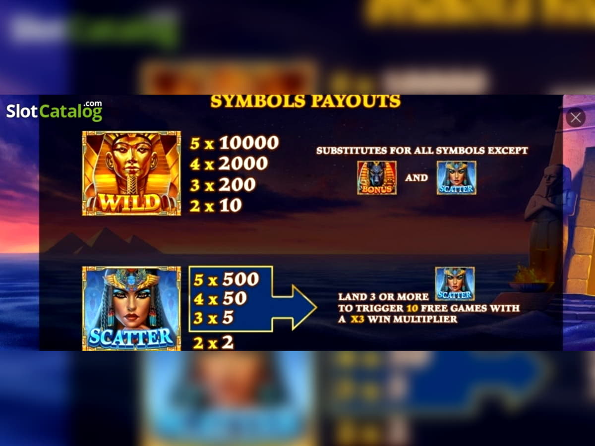 135 FREE Spins at Cashpoint Casino