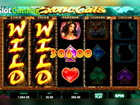 Eur 180 Free Casino Tournament at Cheeky Riches Casino